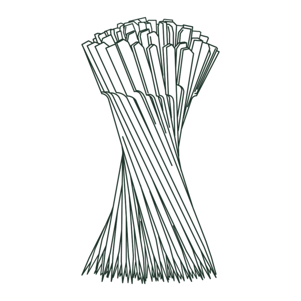 Paddle Bamboo Skewers